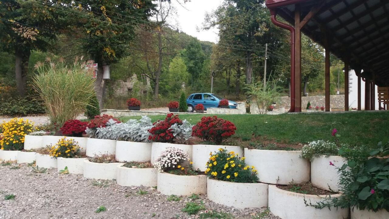 Apartmani Gmitrovic Rtanj Exterior photo